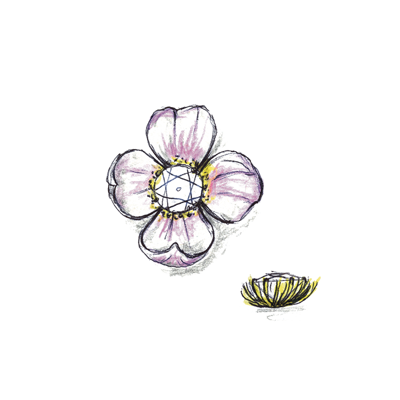 Flower Earrings aluminium anf diamonds as a drawing