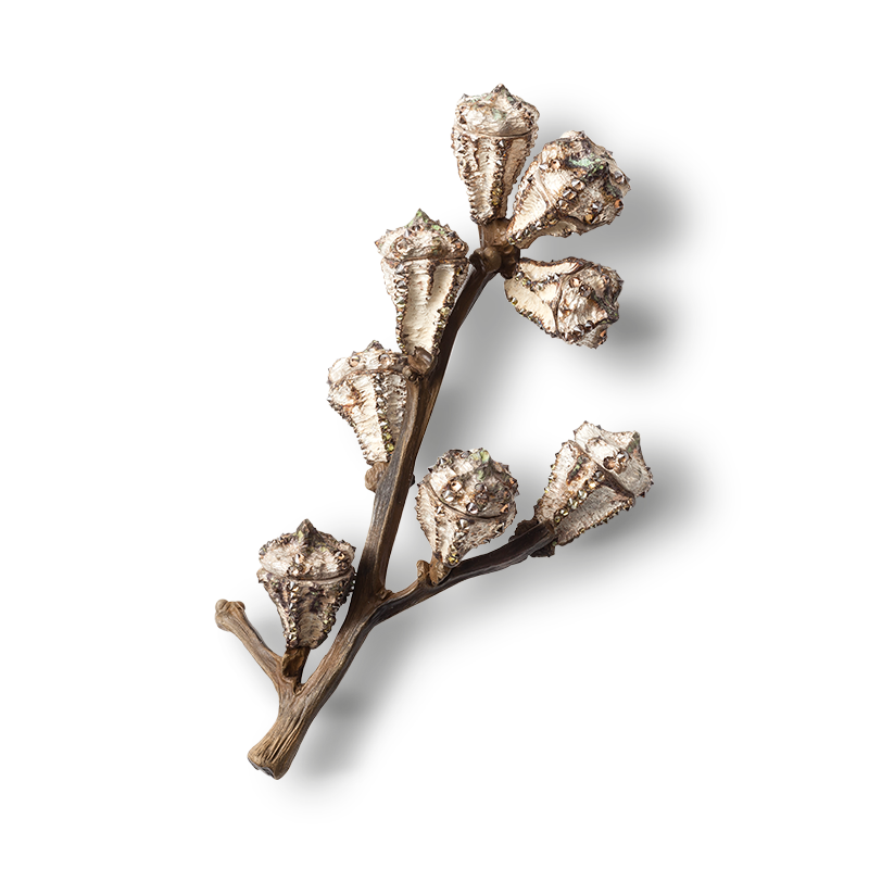 Hemmerle brooch in shape of a eucalyptus