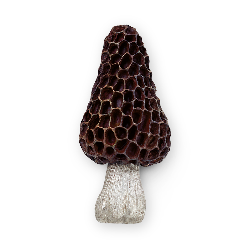 Brooch by Hemmerle in the shape of a mushroom