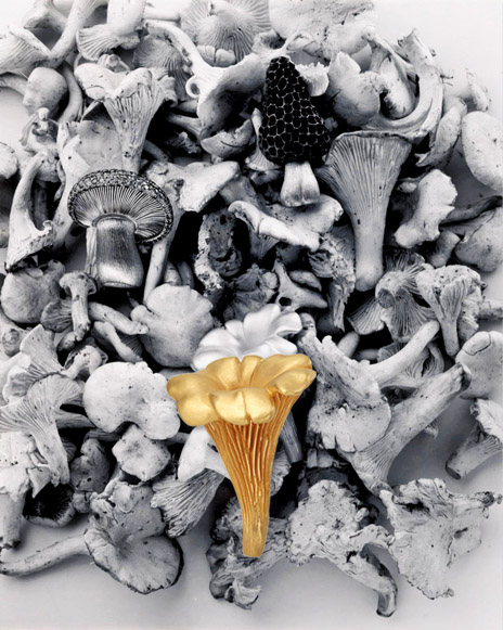 Image of real mushrooms and hemmerle mushroom brooches